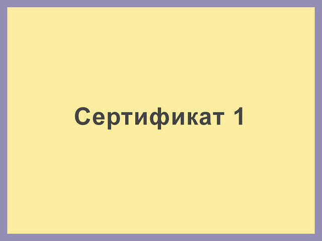 Сертификат 1